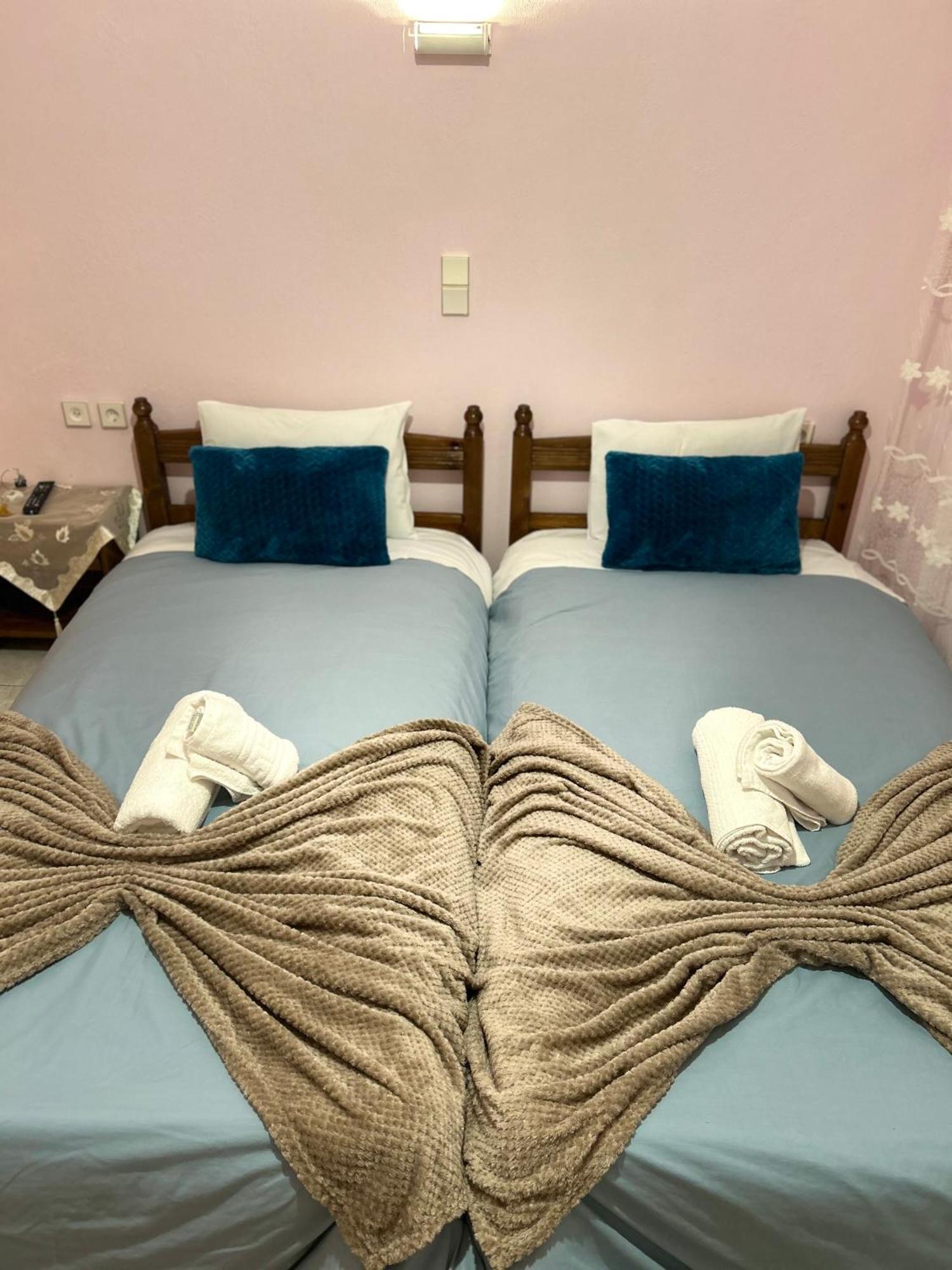 Karpouzis Guesthouse Vikos Ngoại thất bức ảnh